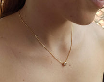 Collar Love